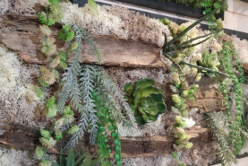 Création de murs et cadres végétaux sur mesure