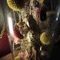Globe de fleurs séchées - Perroquet doré