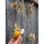 Guirlande de mini-bouquets en fleurs séchées. Coloris au choix Couleur : Safran